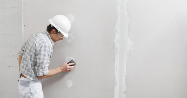 Best Wallpaper Removal and Painting  in Ravenna, MI