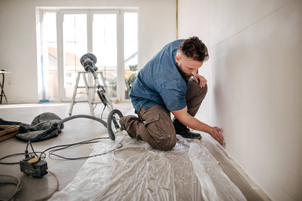 Best Drywall Sanding and Smoothing  in Ravenna, MI