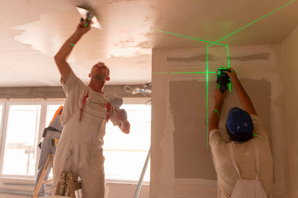 Best Drywall Installation  in Ravenna, MI