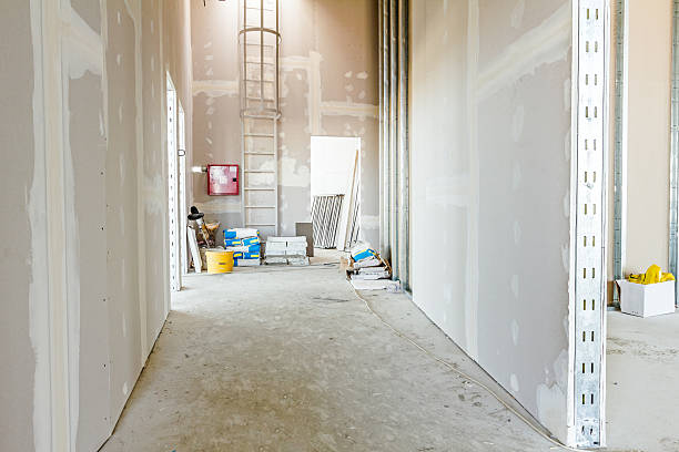 Best Drywall Finishing  in Ravenna, MI